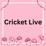 Discover Cric TV 2025 - cricket streaming revolutionized with 4K multi-angle views, AI highlights & affordable plans. Your complete guide to the future of cricket broadcasting.