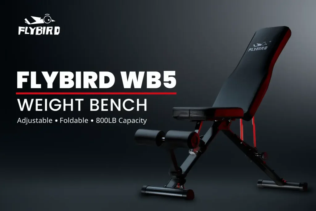 FLYBIRD WB5 Weight Bench with incline decline positions for strength training